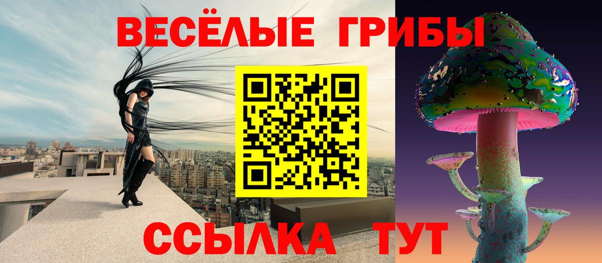 Галлюциногенные грибы Psilocybine cubensis Кизилюрт