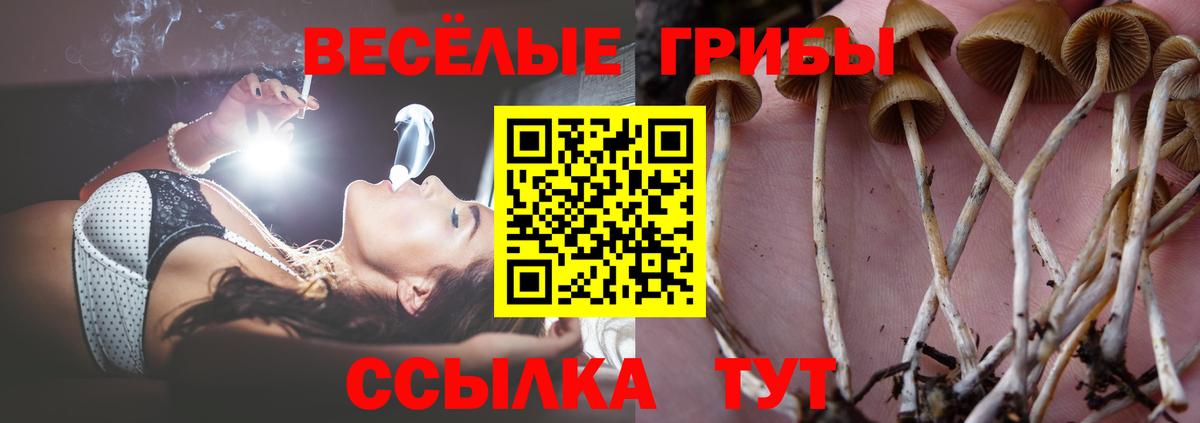 Кизилюрт  Галлюциногенные грибы ЛСД  Вход с VPN 